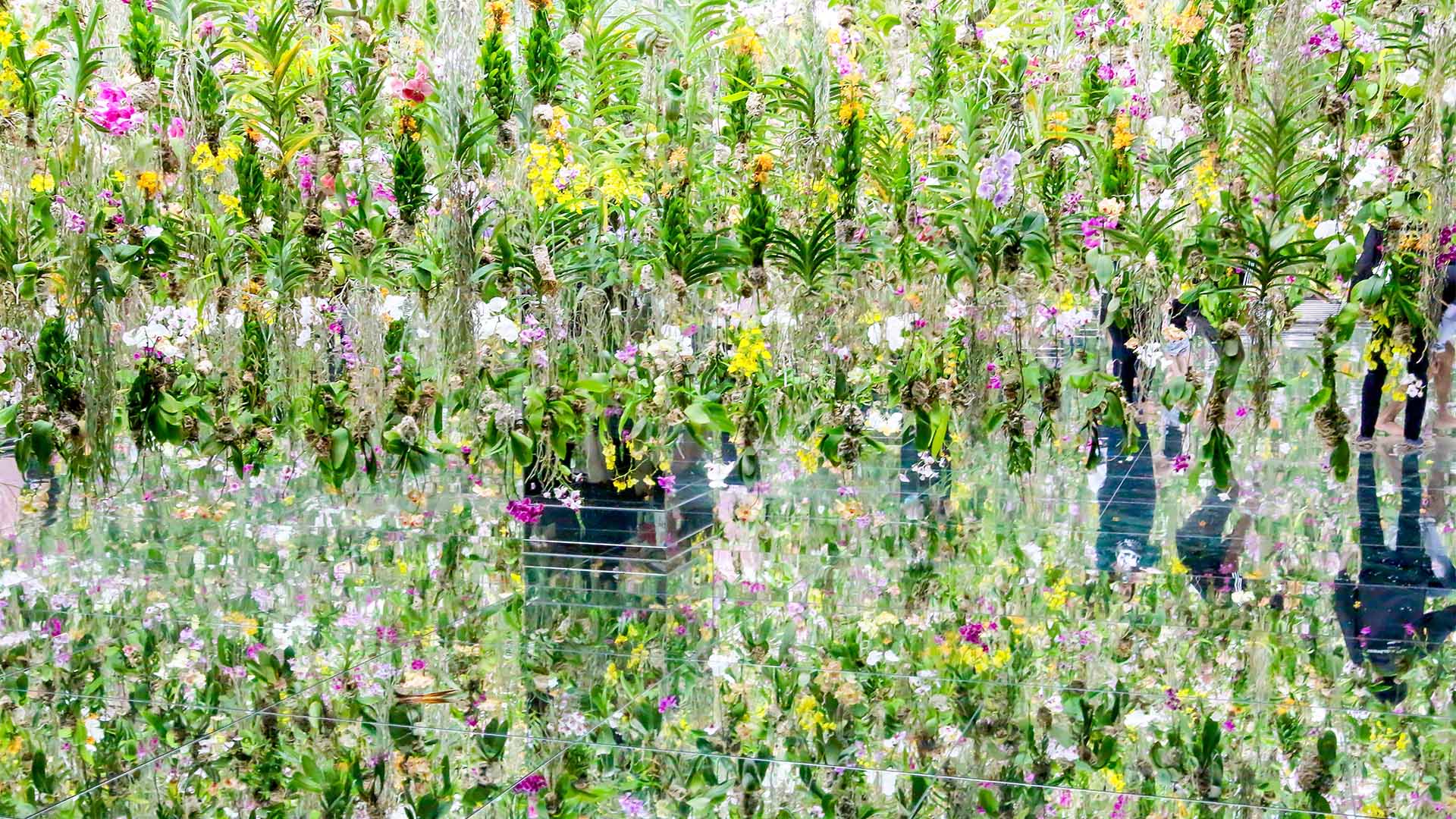 Det interaktive museum teamLab Planets er en oplevelse, du kun får på en rejse til Tokyo