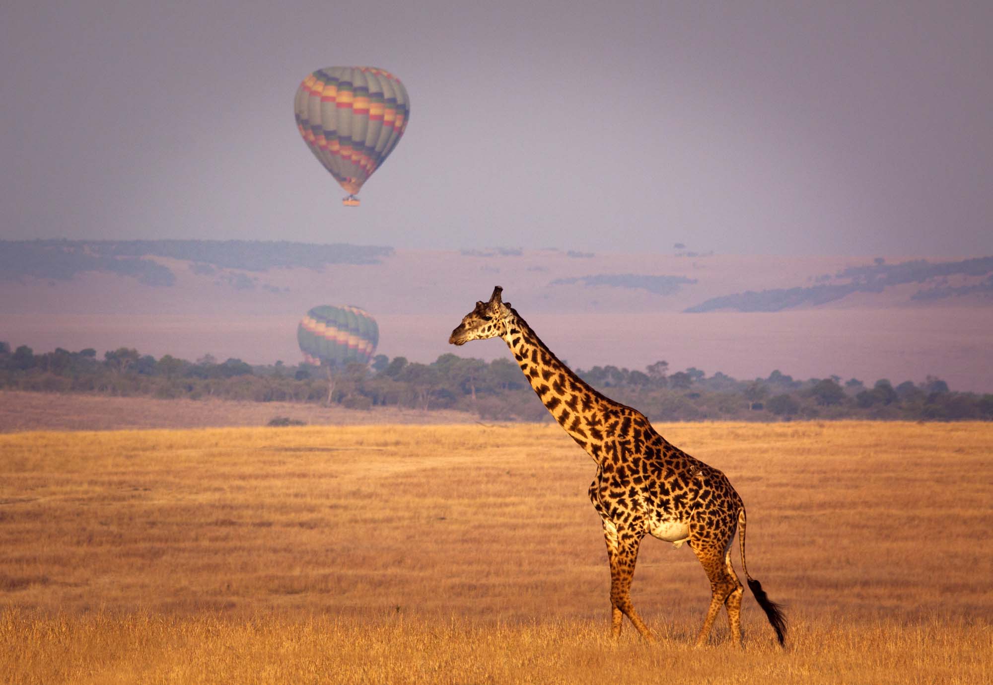 Svæv i luften med unik og bjergtagende ballonsafari på din Kenya-rejse.