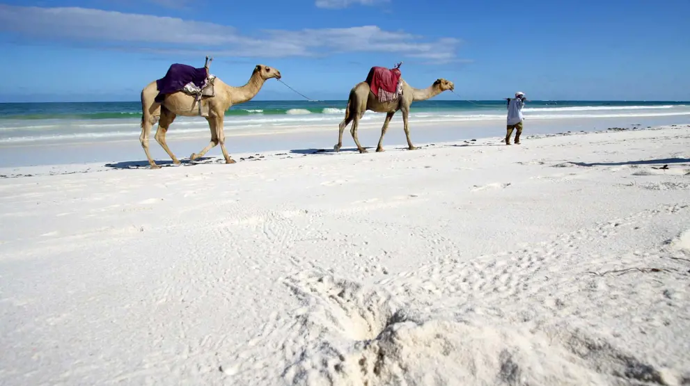 Badeferie ved Kenya kysten