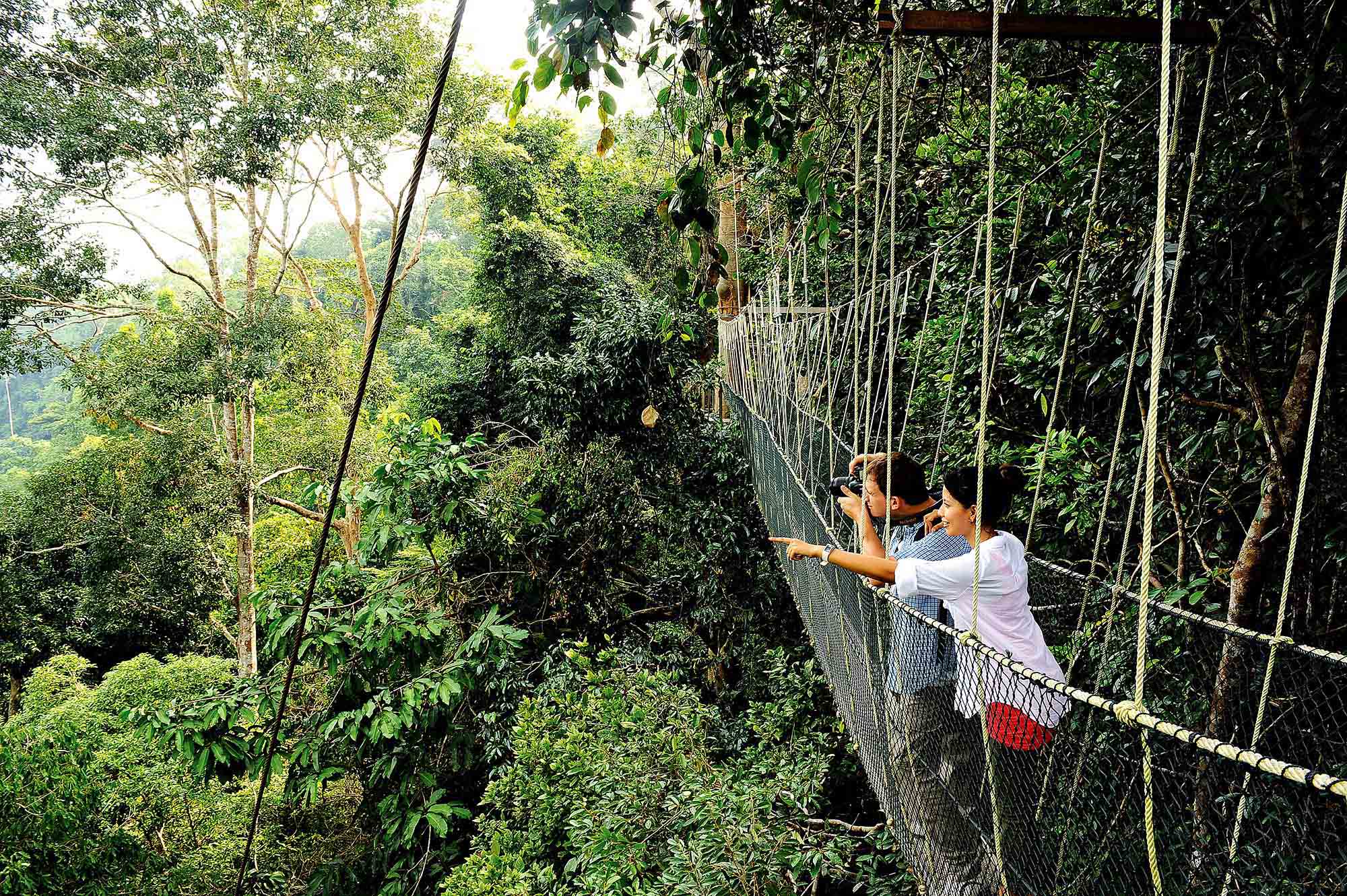 Malaysia-kuala-lumpur-canopy-walk-2-1-4-credit-Tourism-malaysia-cut