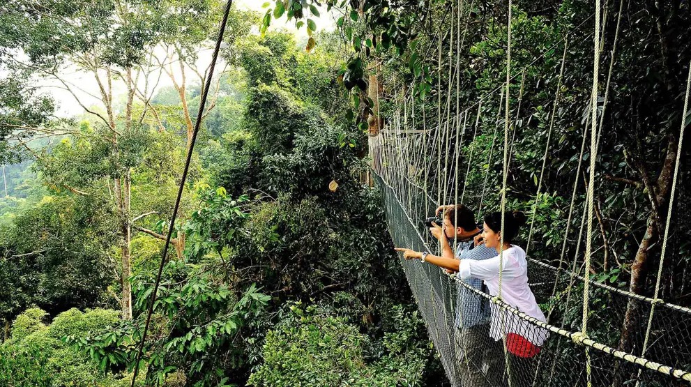 Masser af udflugter i Malaysias natur