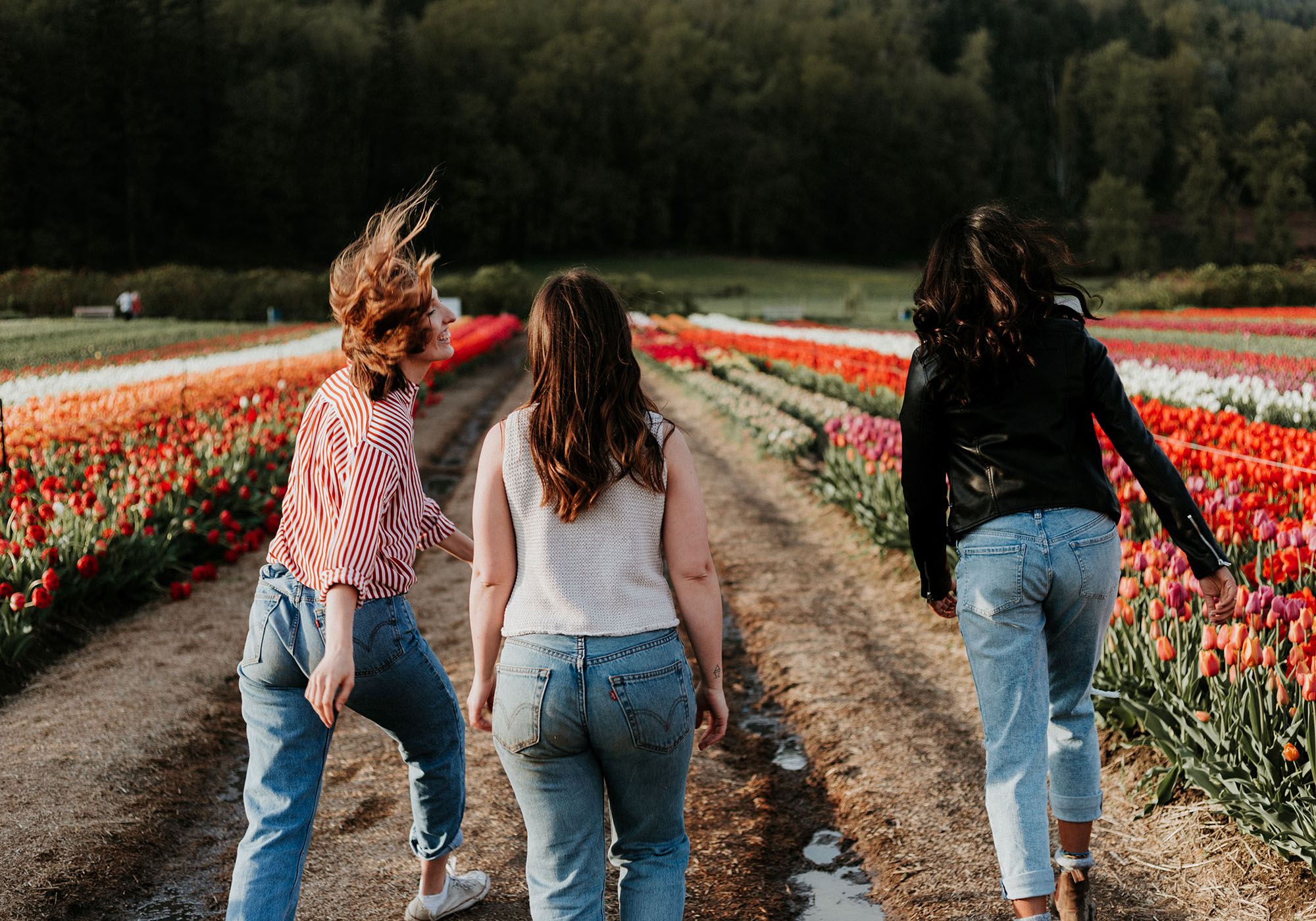 Priscilla Du Preez Ftsln4l1f7y Unsplash