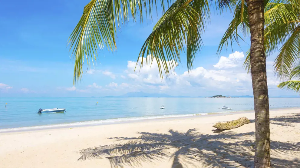 Nyd de lækre strande på Penang - Rejser til Malaysia