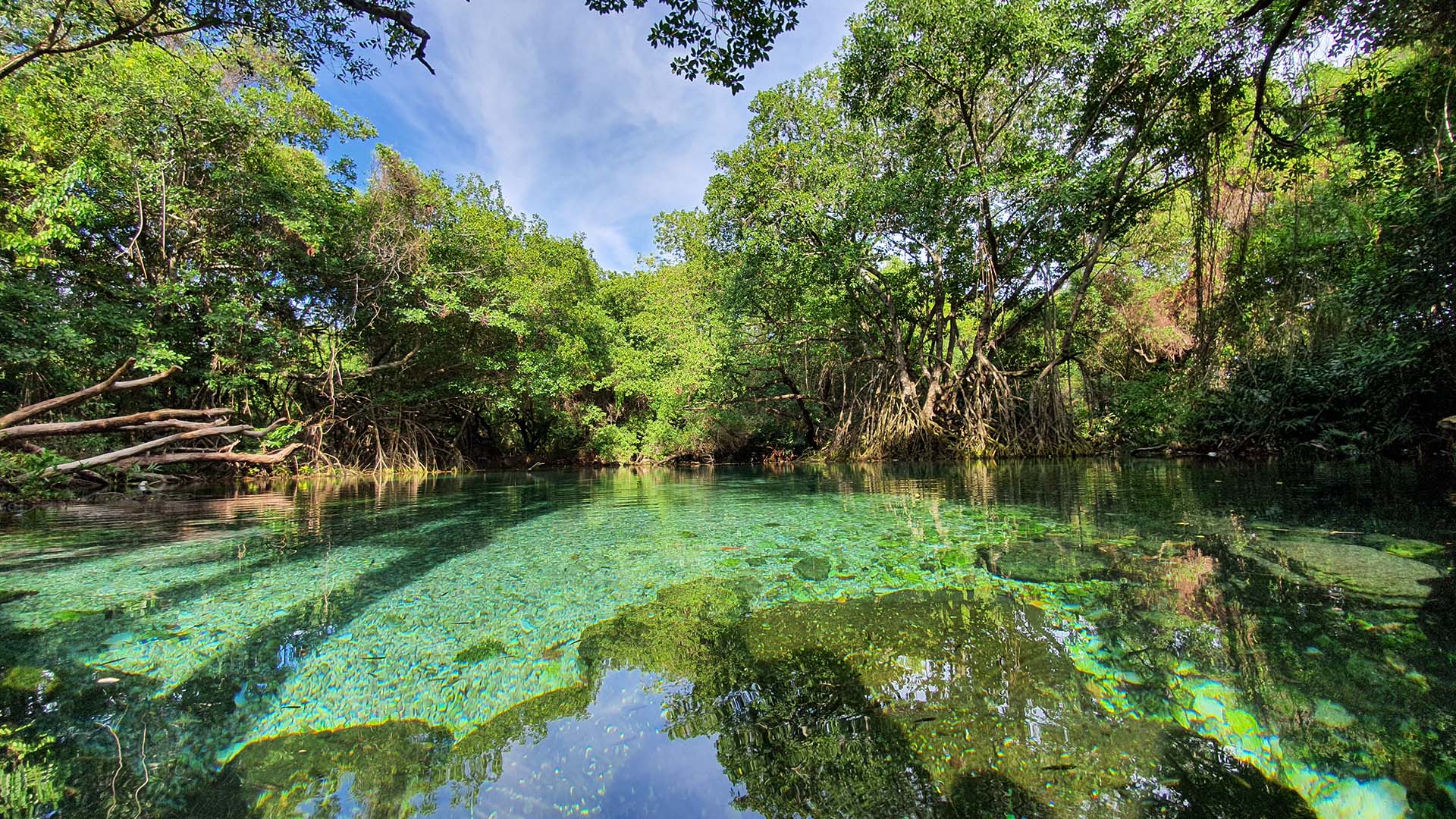 Glæd jer til at udforske den uberørte, eksotiske natur i Barahona-området