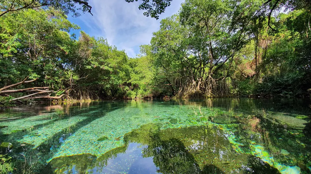 Glæd jer til at udforske den uberørte, eksotiske natur i Barahona-området
