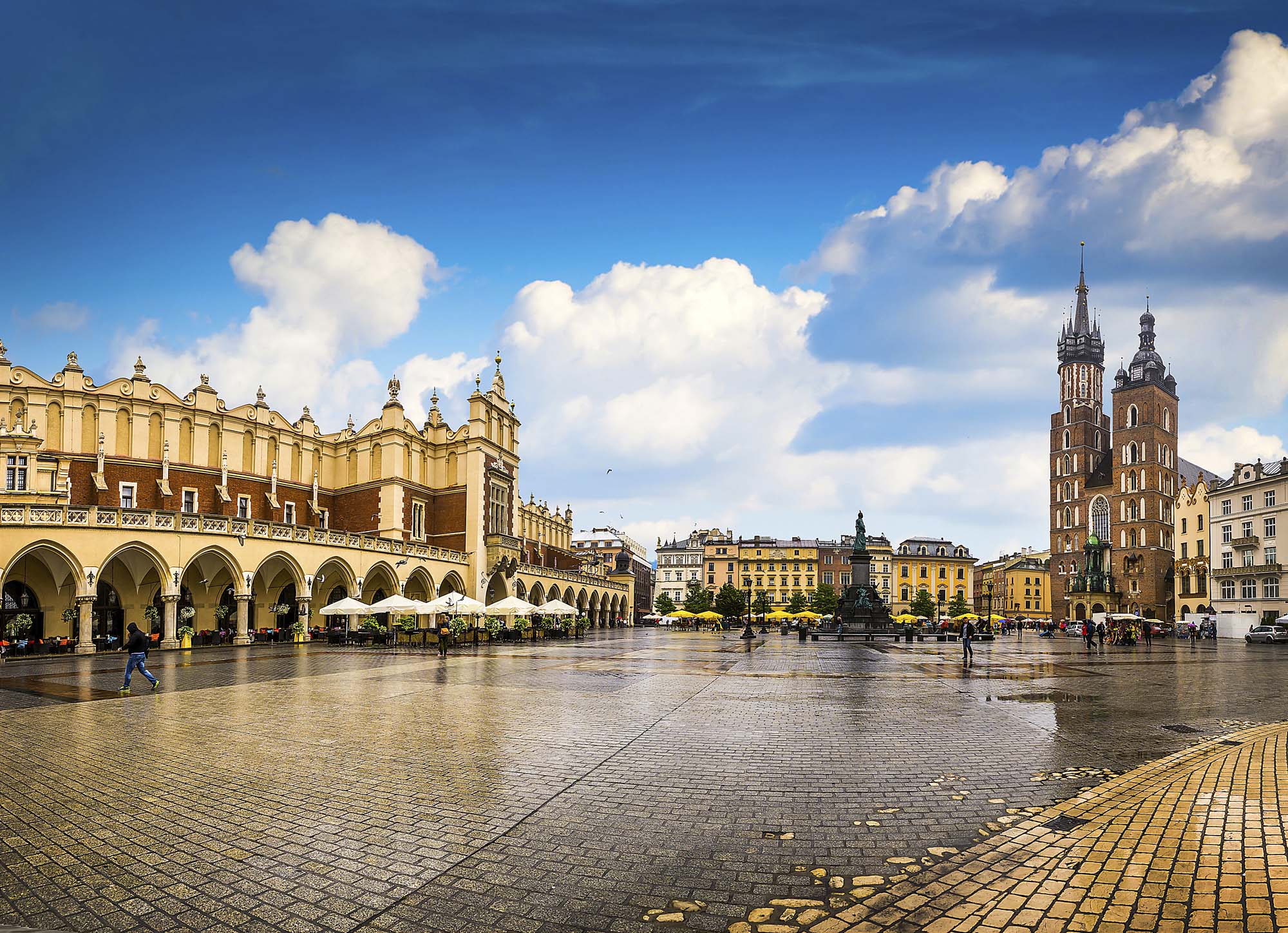 Studietur til Polen med BENNS