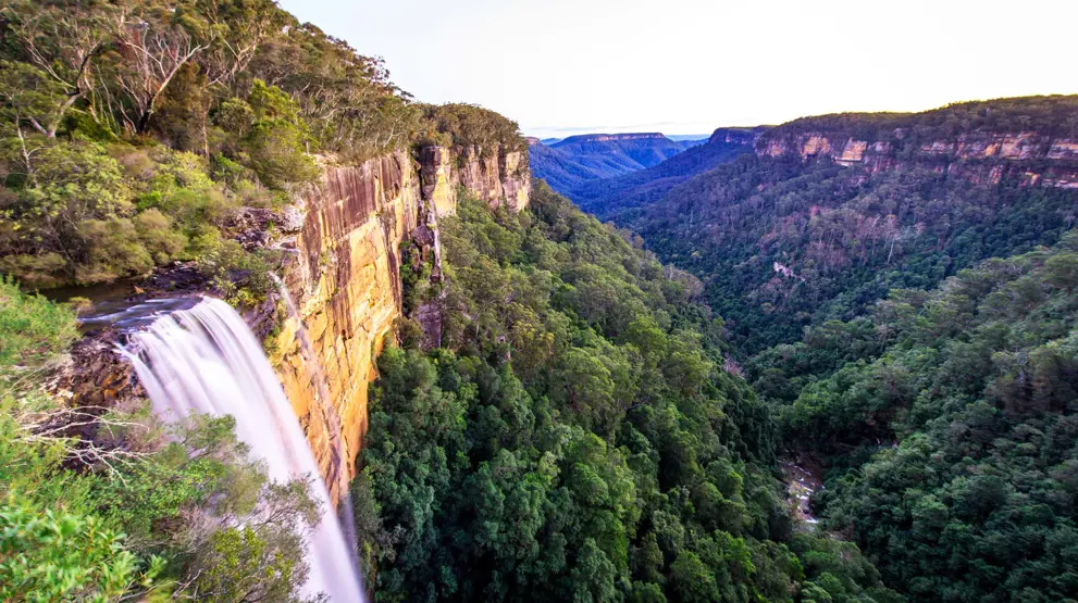 Smukke vandfald og natur i Lamington National Park
