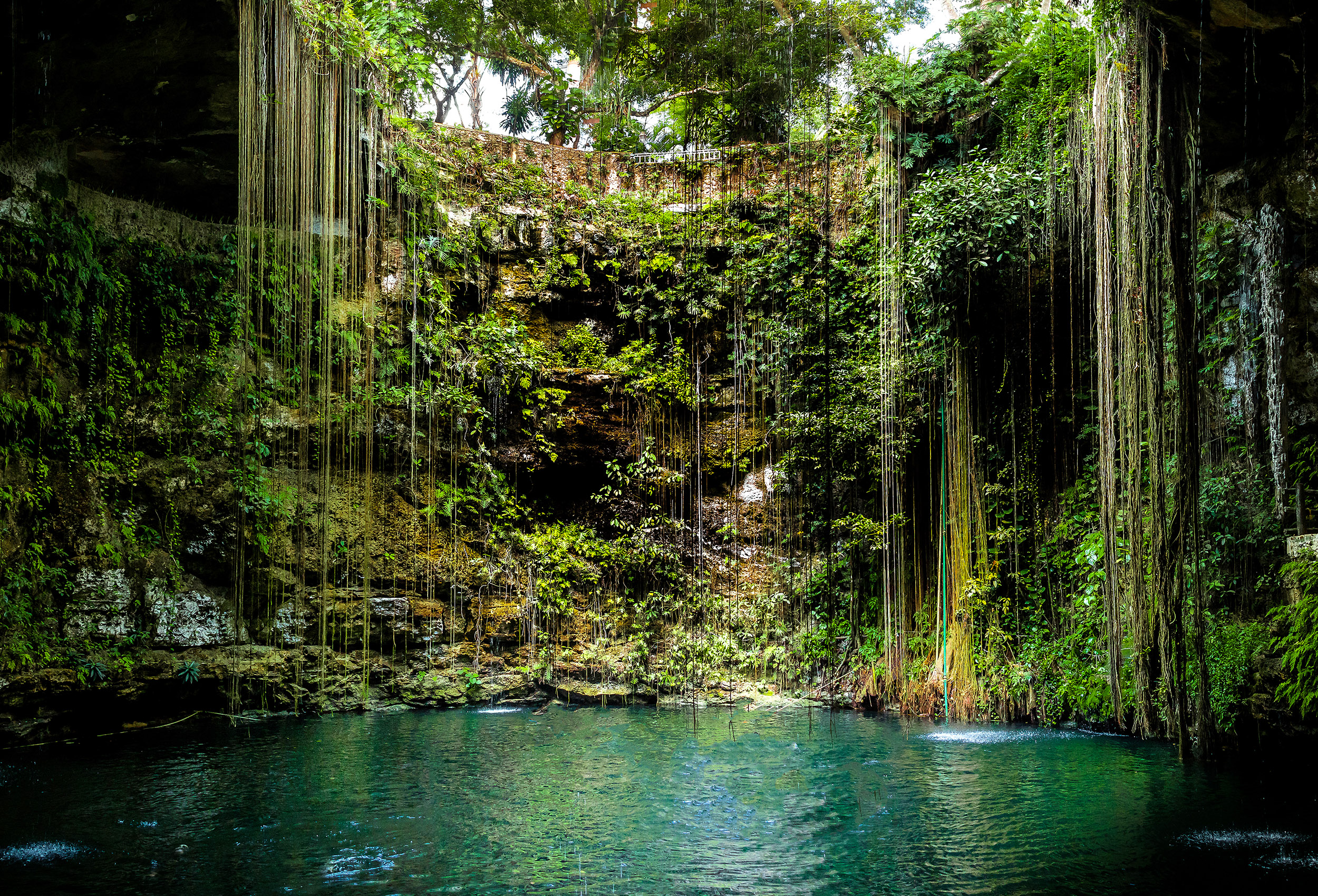 Besøg de smukke cenoter på en rejse i Mexico