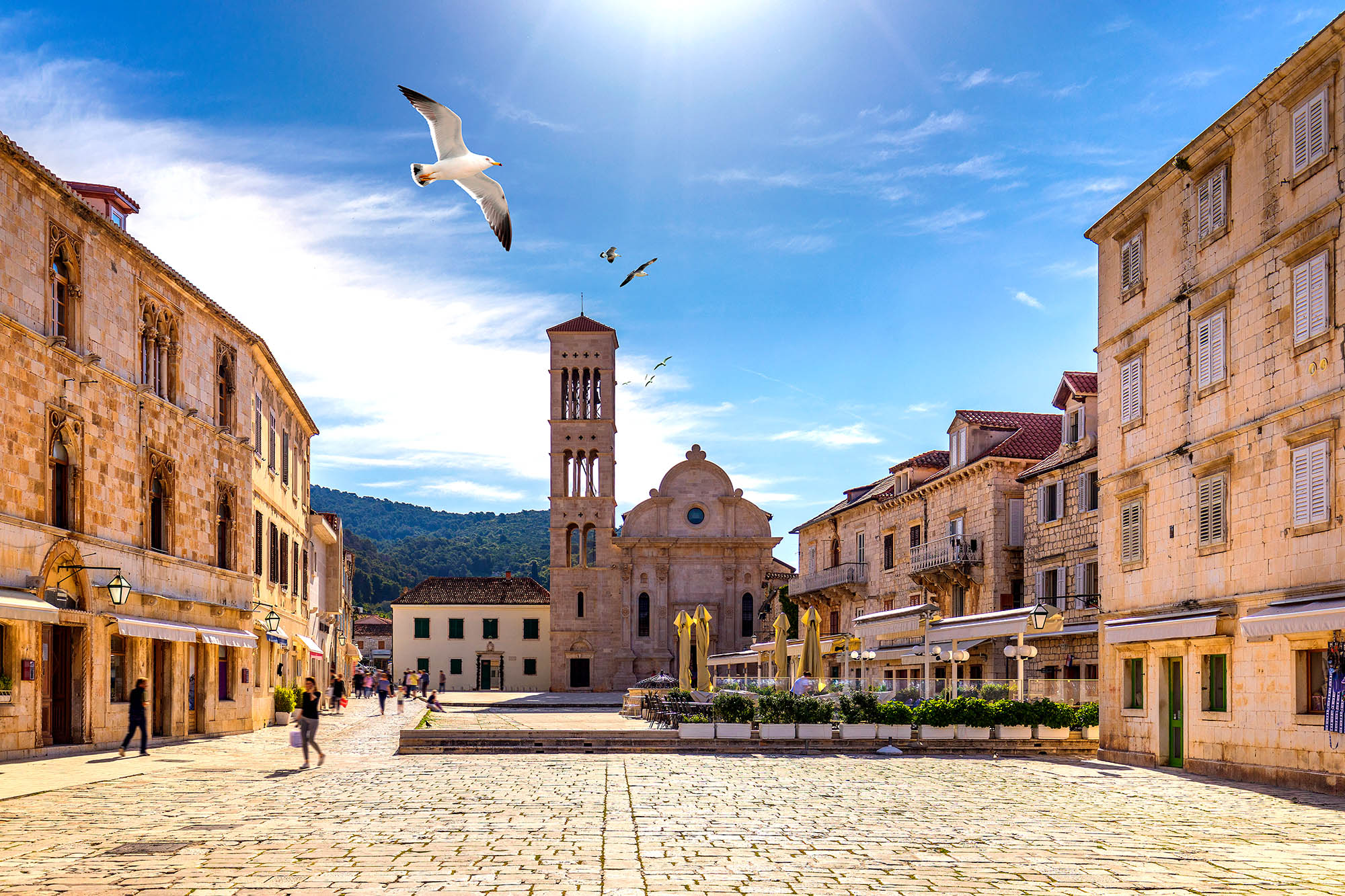 Besøg historiske seværdigheder og elegante facader midt i byen Hvar