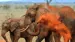Se elefanterne i det røde støv fra Tsavo-parkerne
