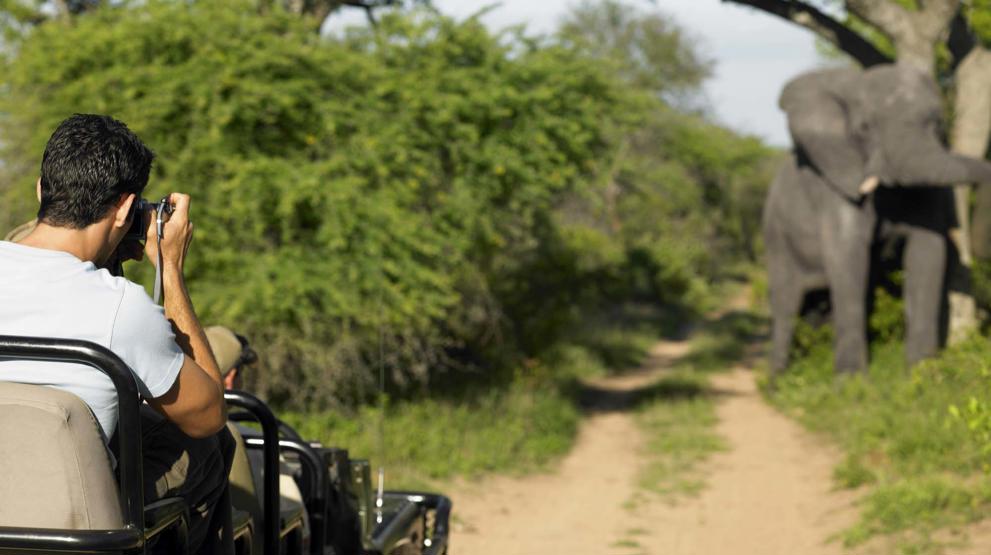 Safari i Sydafrika | Safarioplevelser i Krugerparken
