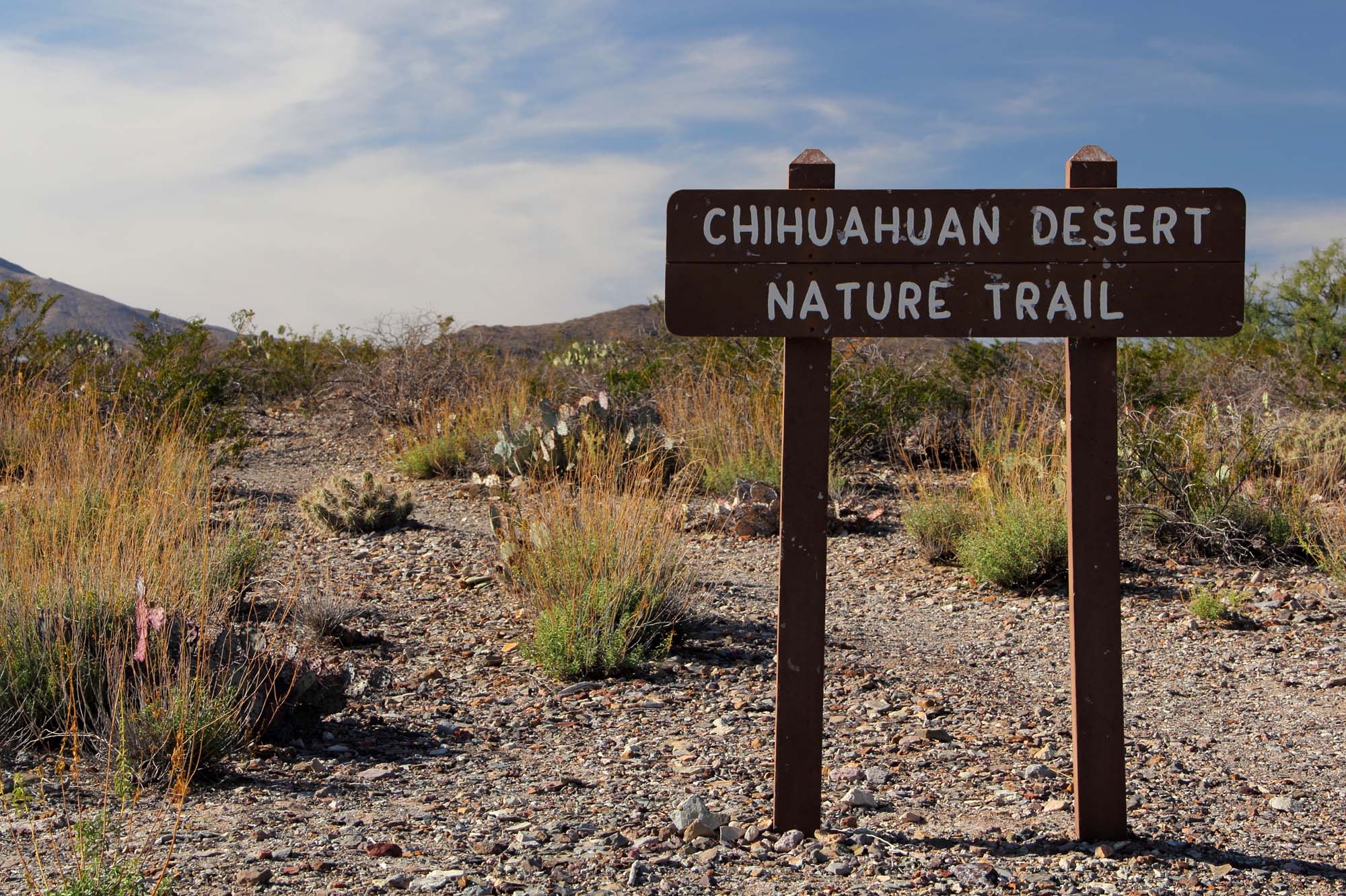 Vandresti i ørkenen Chihuahuan - Big Bend National Park