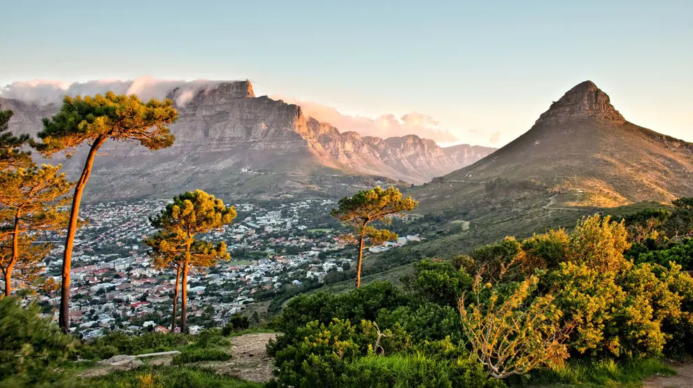 En Sydafrika-rejse giver utrolige naturoplevelser; her i Cape Town.