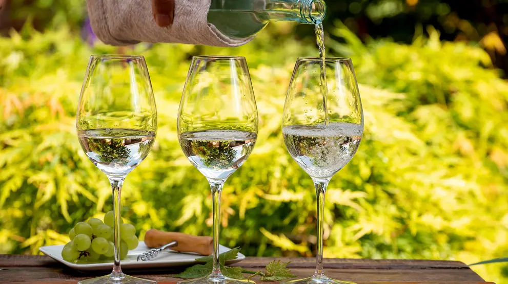 I besøger flere populære vinområder, såsom Hunter Valley og Barossa Valley