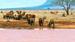 Elefanter i Tsavo East - Safari i Tsavo 