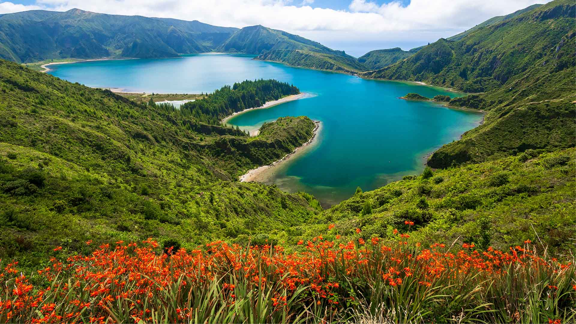 Azorerne byder på fantastisk rig natur