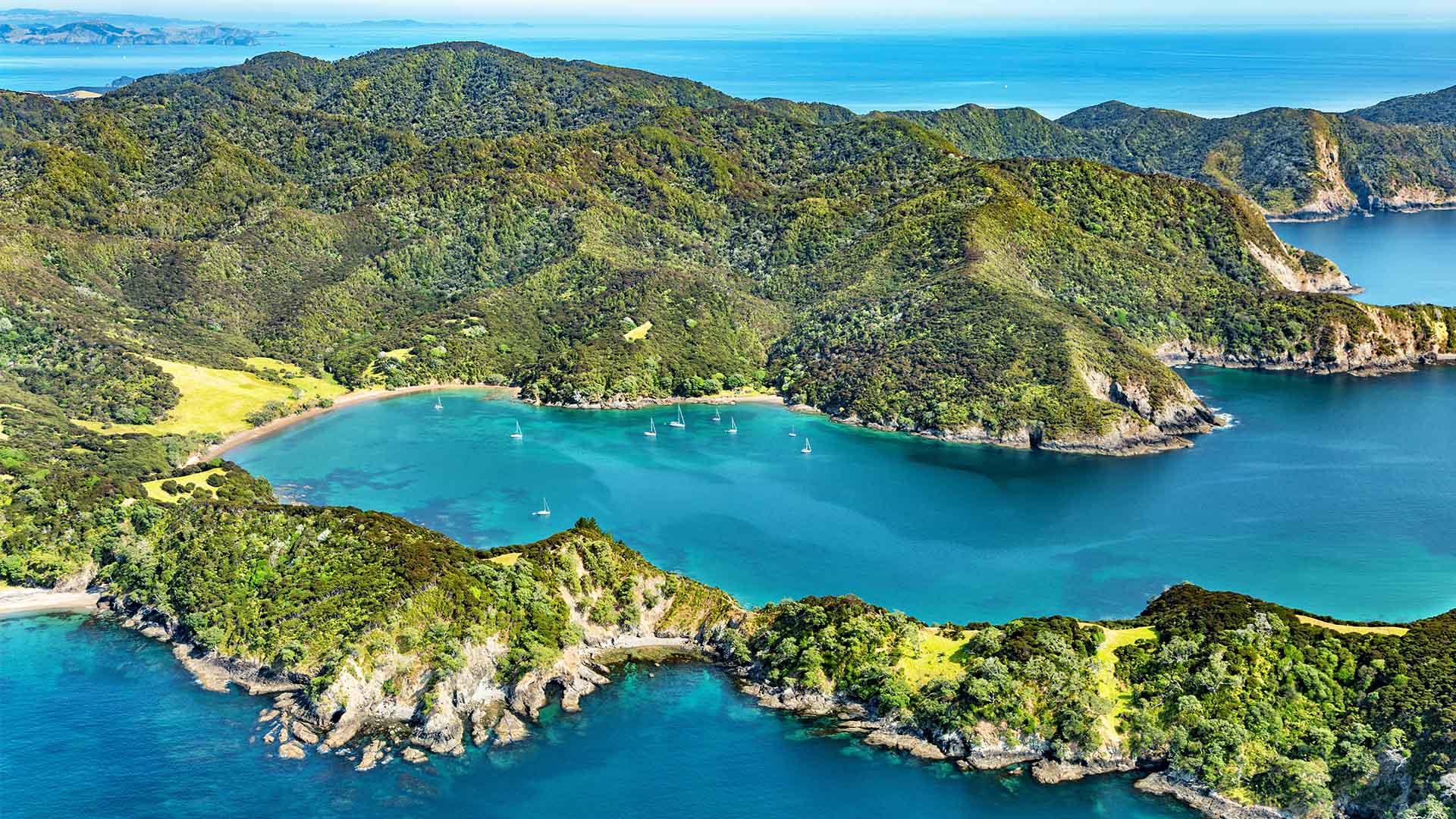 Besøg fantastiske Bay of Islands på Nordøen