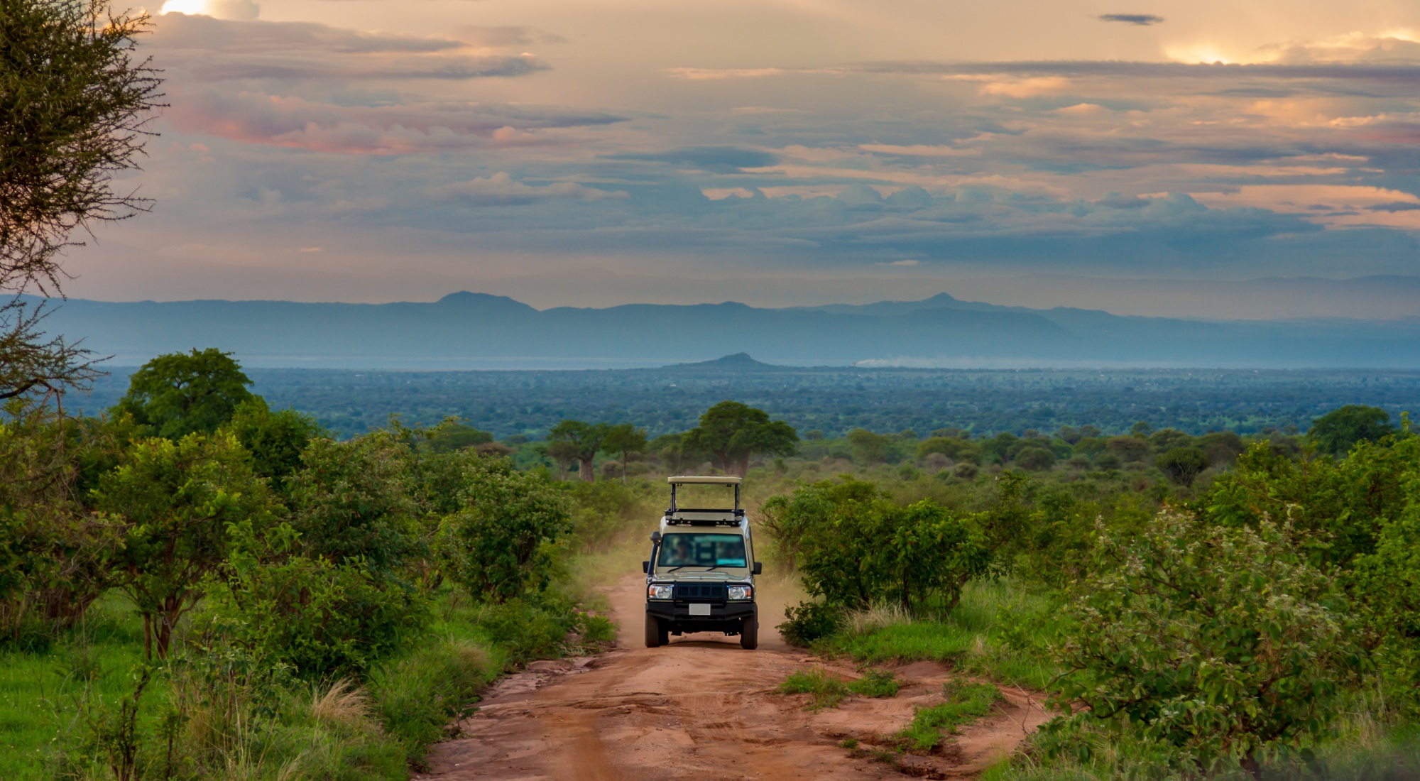 Webinar Masai Safari By Jeep In Tarangire National Park CUT 2000X1100px