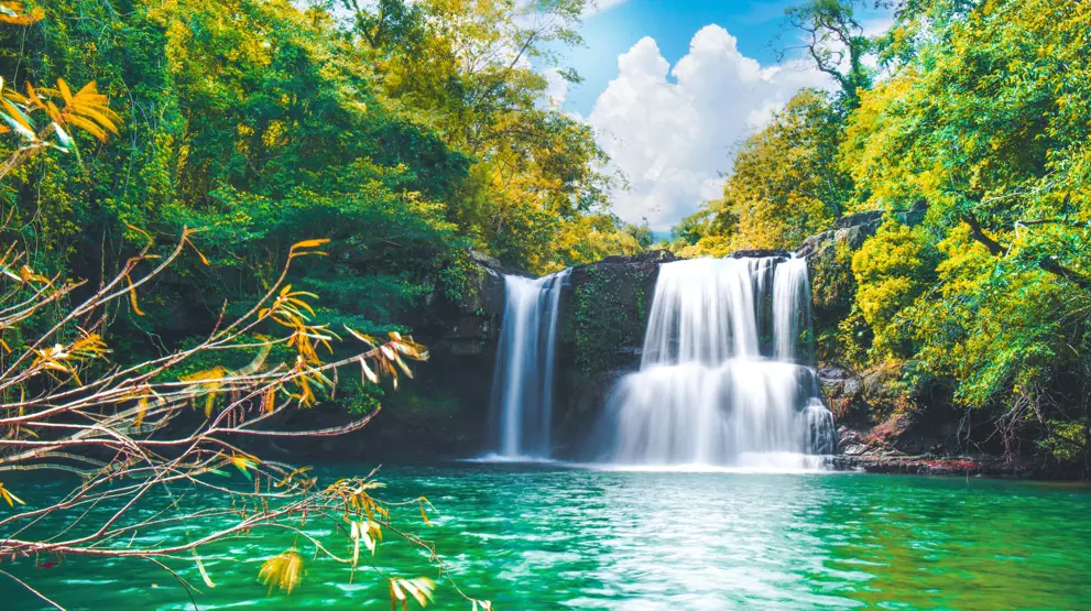 Oplev smukke vandfald, frodig jungle og hvide sandstrande på Koh Kood.