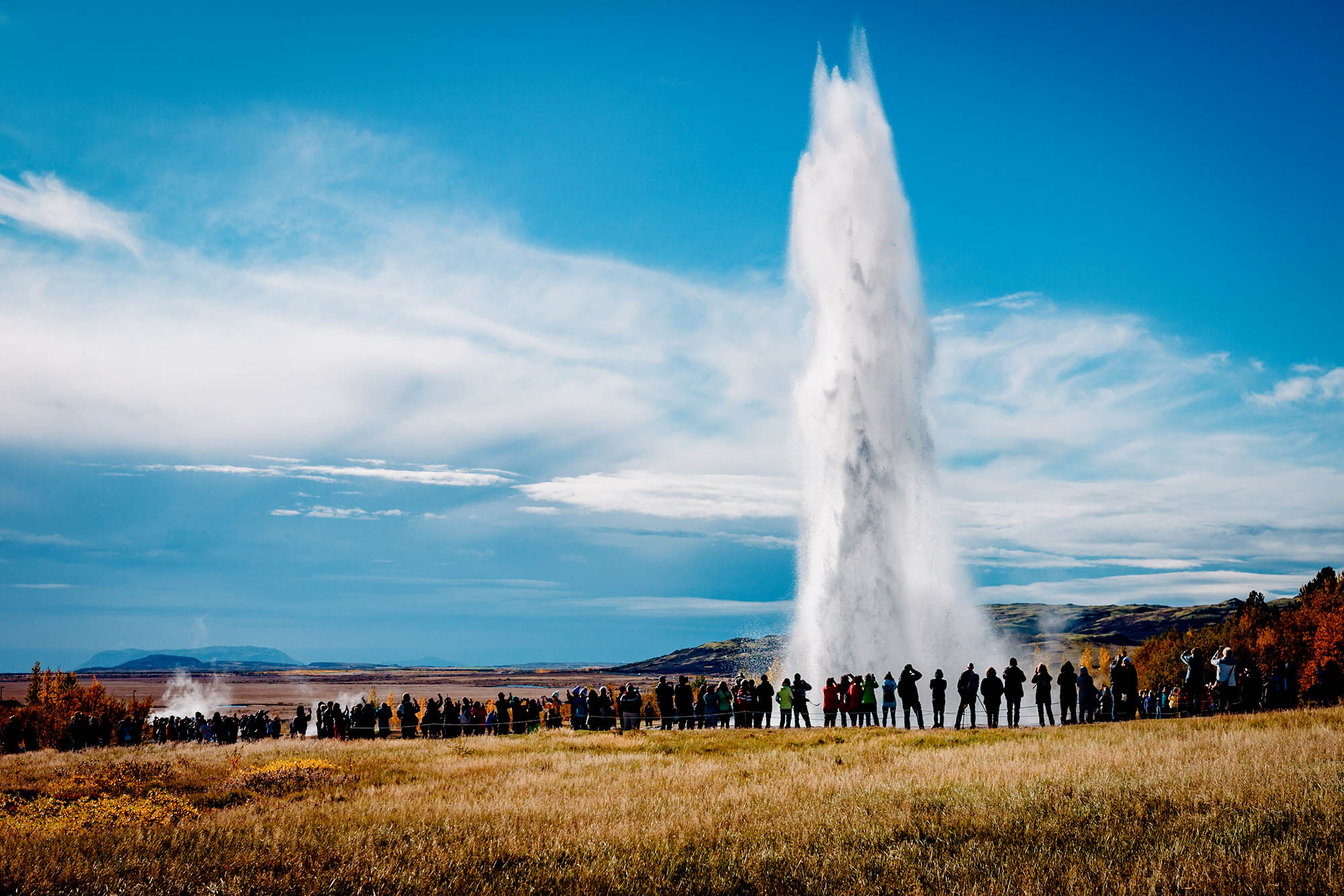 Studietur til Reykjavik med BENNS