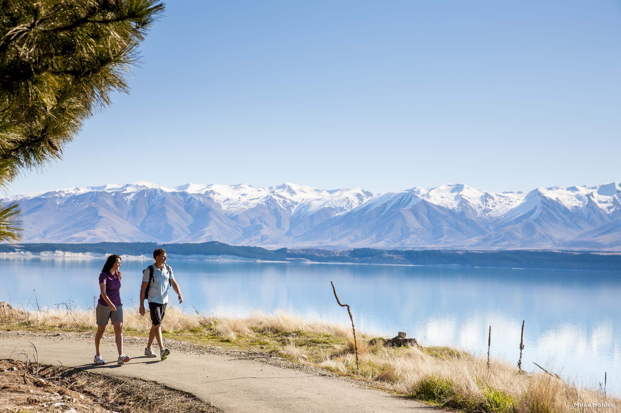 New zealand how people live