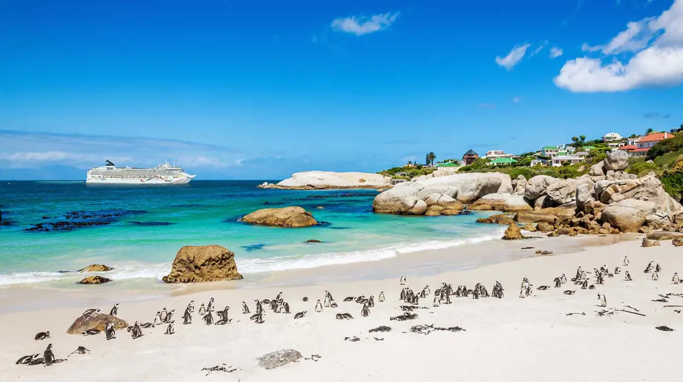 Krydstoger i Afrika tager dig med til magiske destinationer som Cape Town