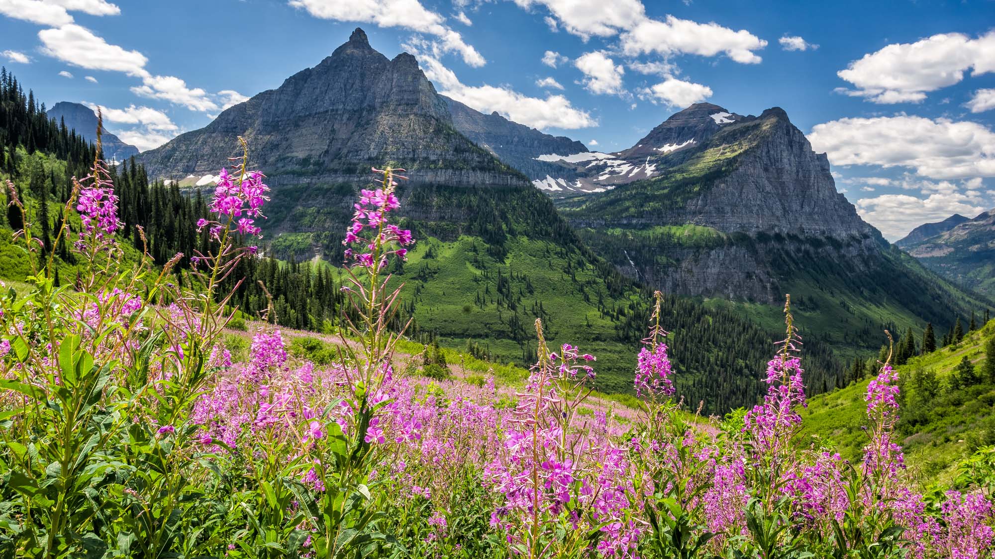 Rejser til Glacier National Park