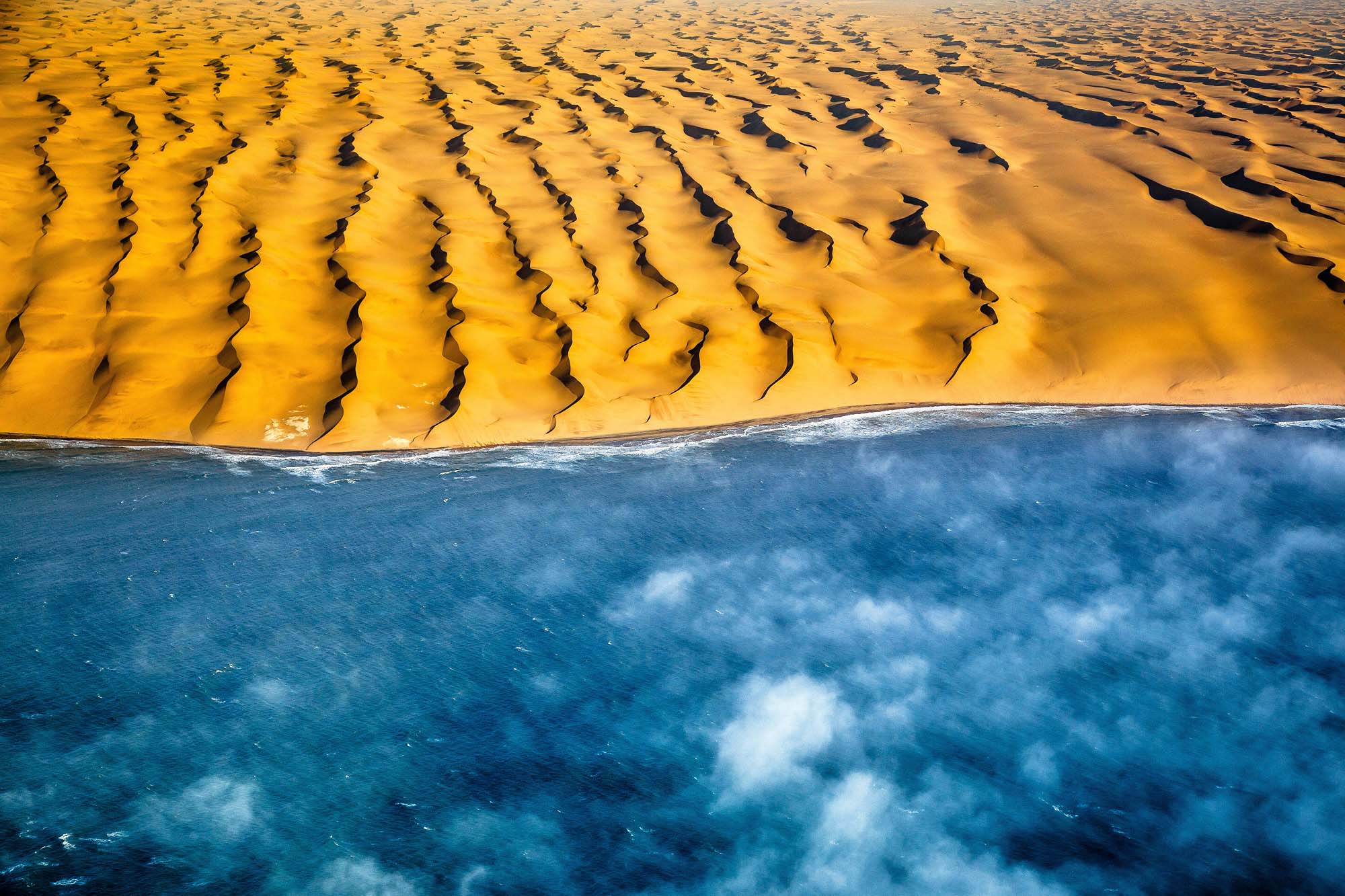 Oplev dyrelivet i Skeletion Coast National Park, hvor ørken og hav mødes