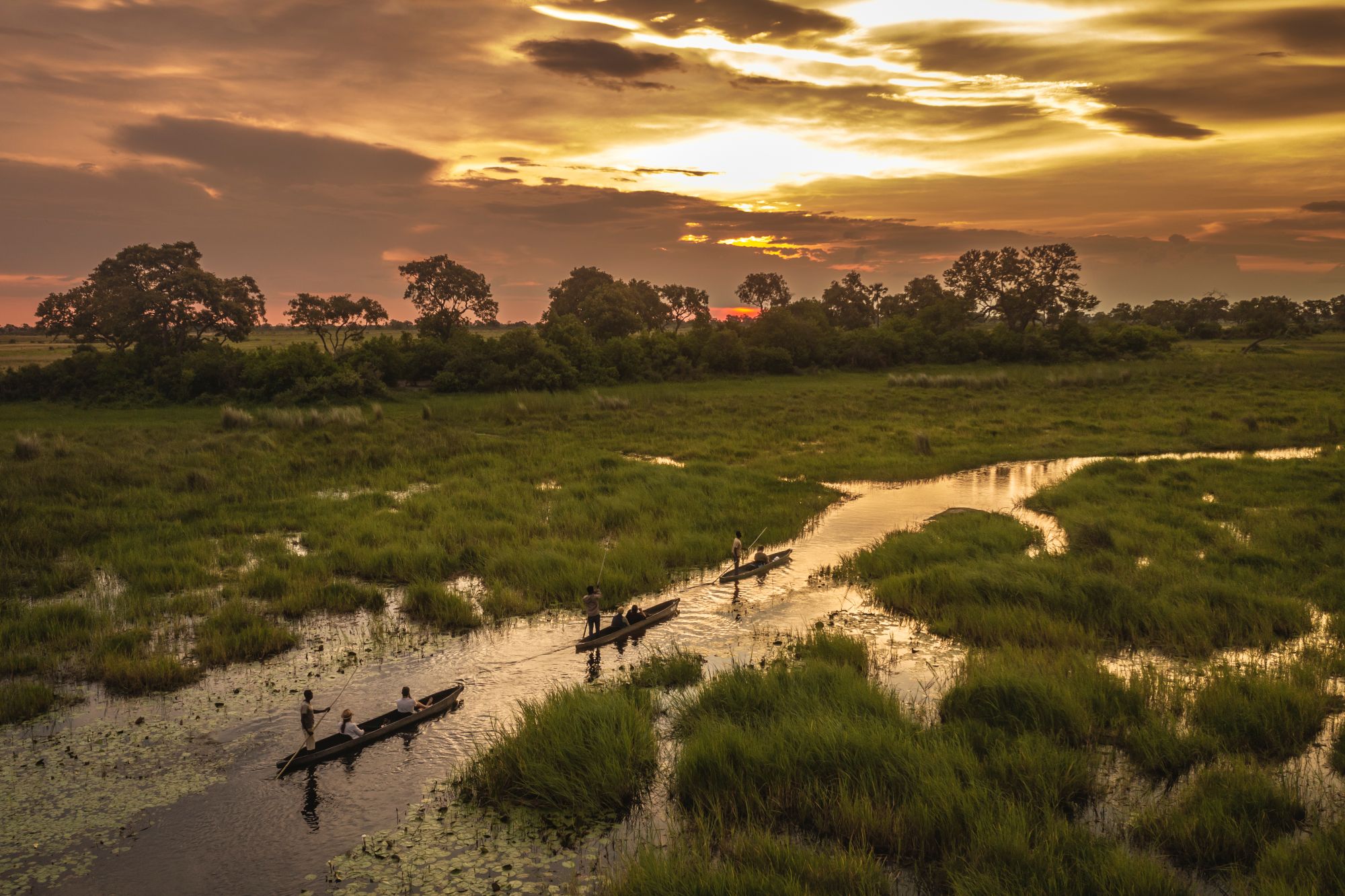 Sejl i mokoros på Okavango-deltaet i solnedgangen