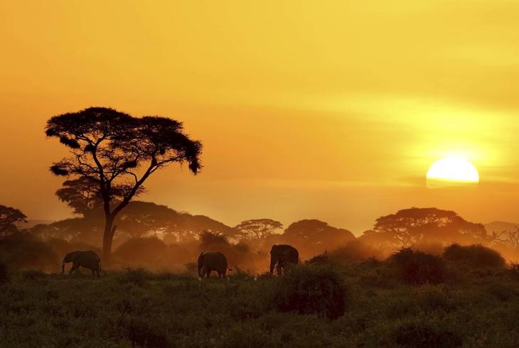Solnedgang over Amboseli