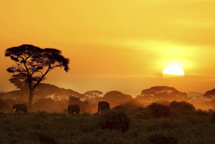 Solnedgang over Amboseli