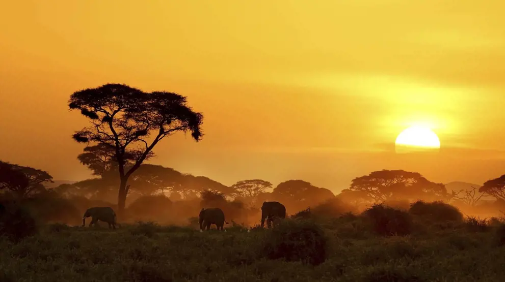 Nyd en smuk solnedgang i Amboseli
