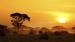 Smuk solnedgang i Amboseli - Safari i Amboseli 