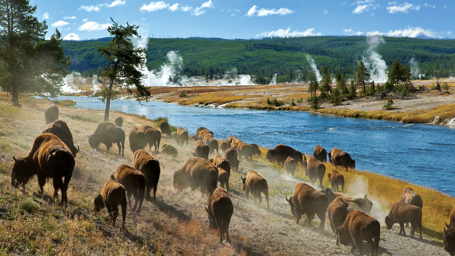 Vil du på en autentisk rejse til USA, kan vi anbefale at udforske landet langt fra kysterne