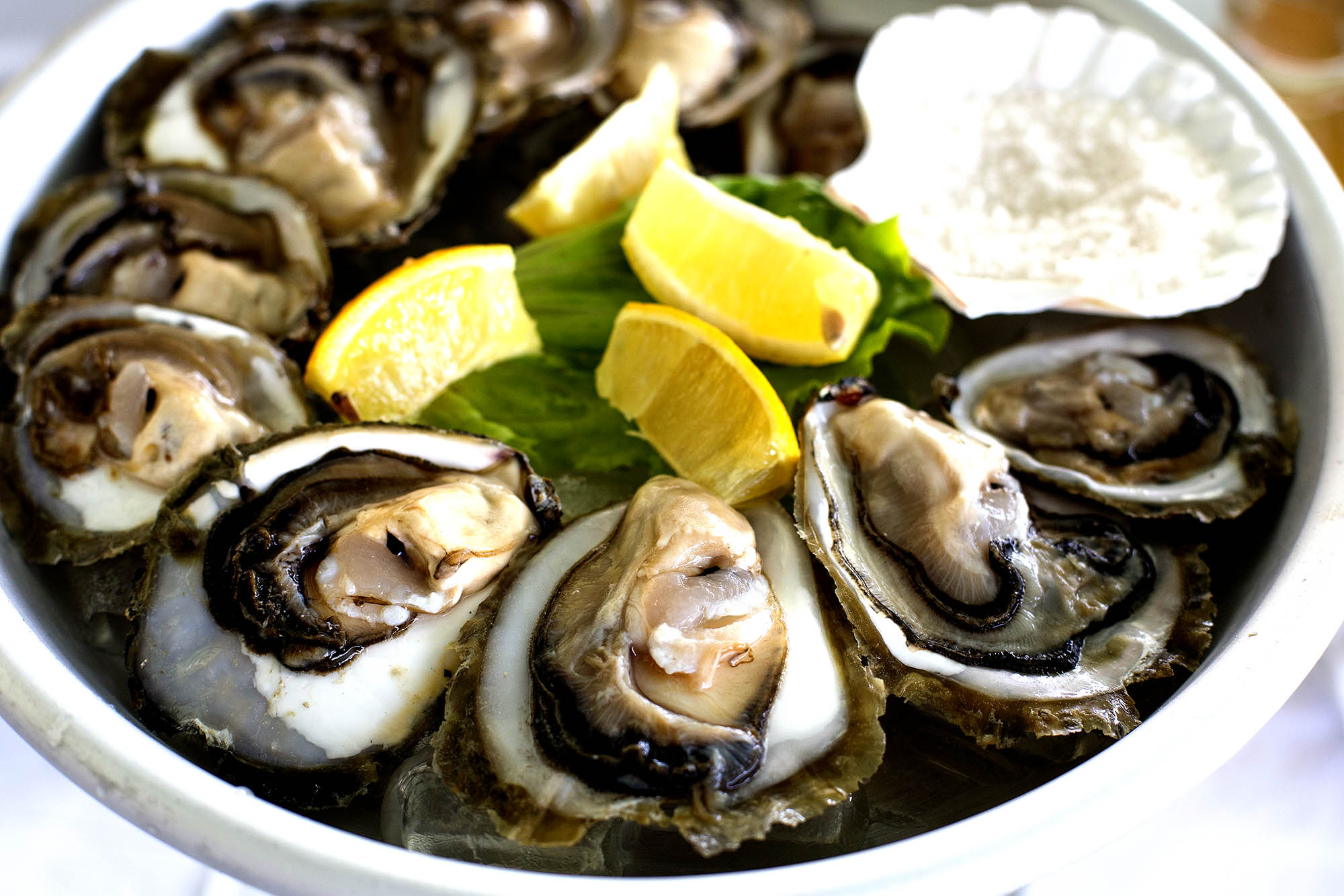 Kulinariske oplevelser venter med middelhavs- og seafood-inspirerede retter