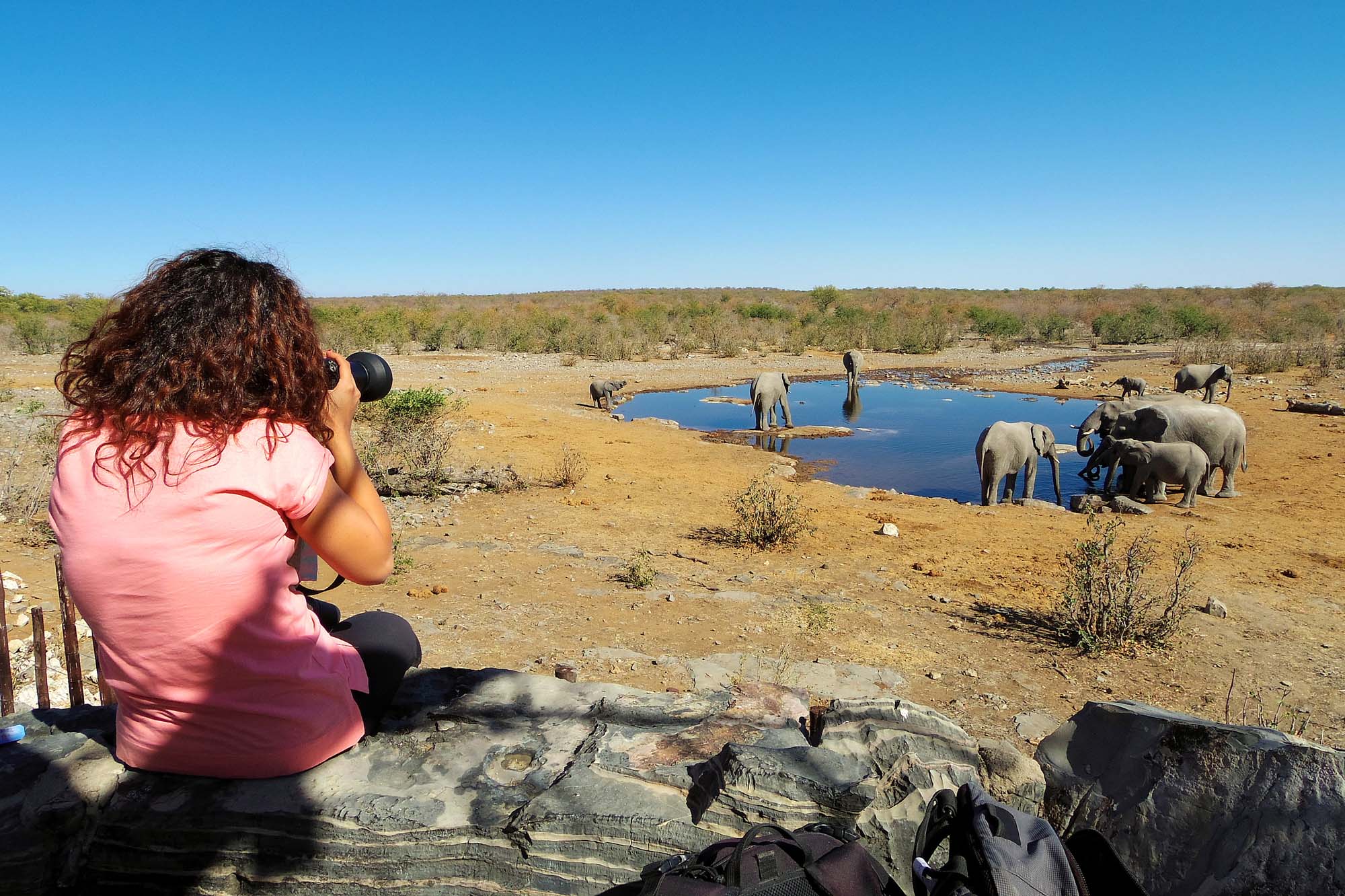 Elefanter ved et vandhul i Etosha National Park