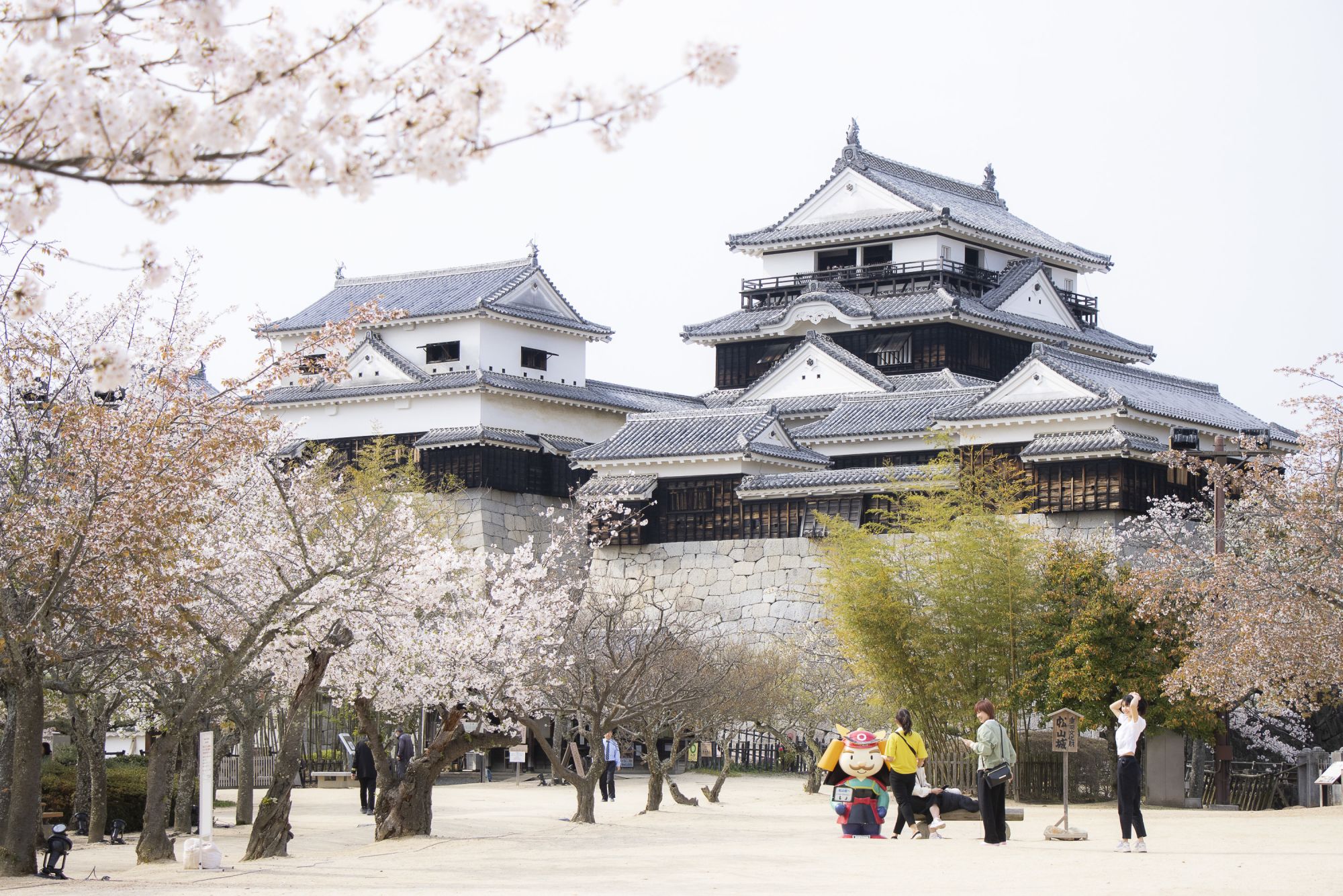 Besøg fantastiske slotte som Matsuyama Slot på Shikoku