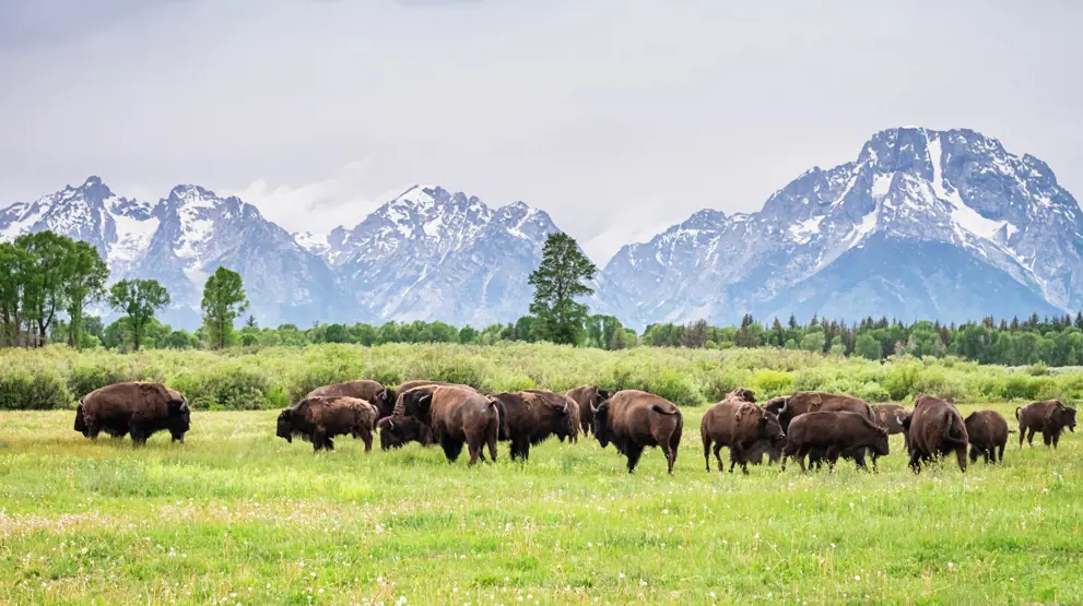 Grand Teton National Park, Wyoming