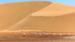 Se de smukke sanddyner - Safari i Kalahari