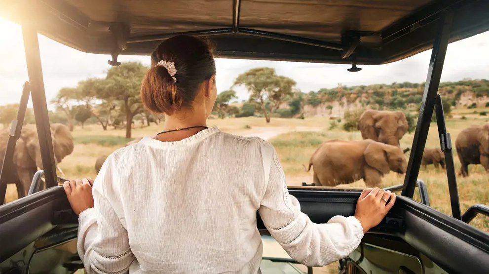 Game drive i Kenya med de store elefanter.