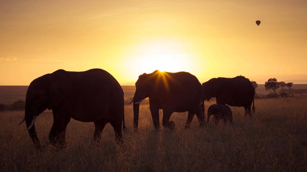 Rejser til Kenya vil også byde på de mest fantastiske solnedgange