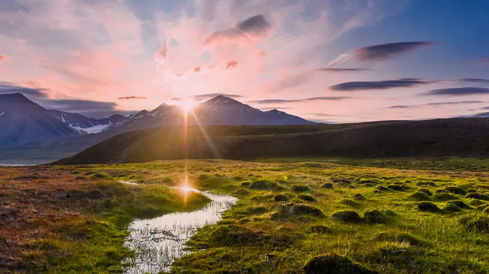 Oplev den arktiske sommer i Svalbard