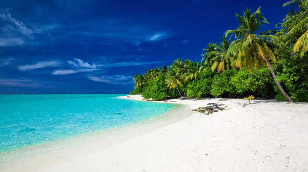 Nyd de fantastiske strande på Bora Bora