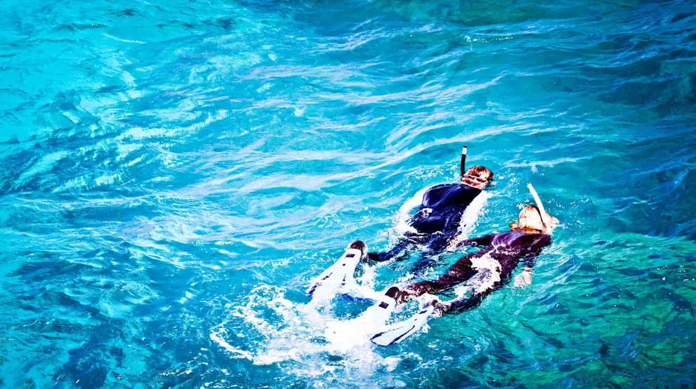 Snorkling ved Great Barrier Reef