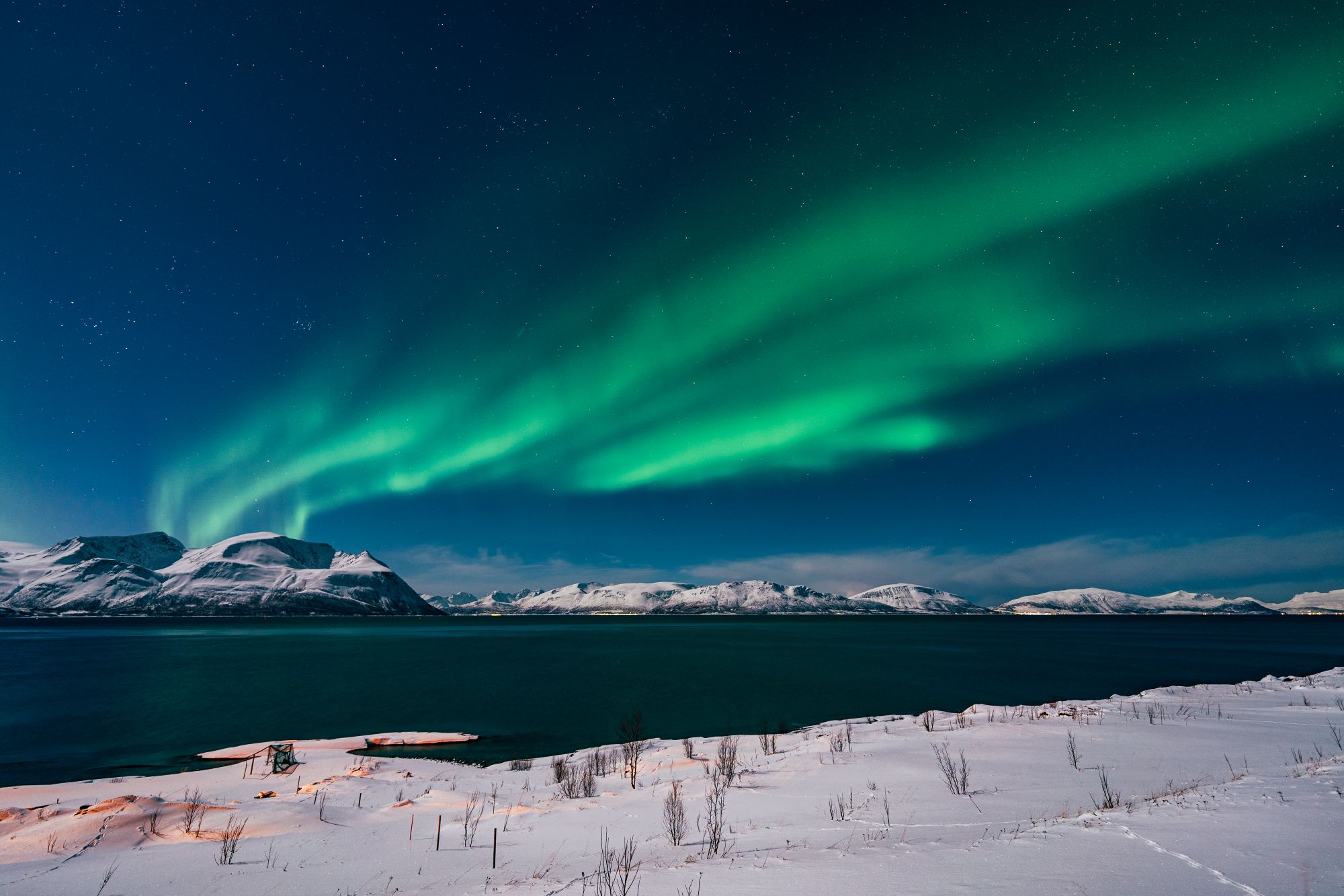 Nordlys over den smukke Lyngenfjord | Foto: Petr Pavlíček/Hurtigruten