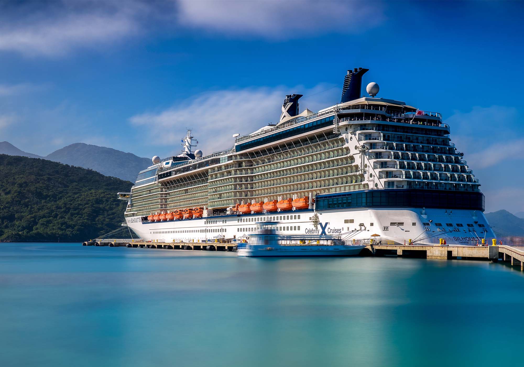Celebrity Silhouette