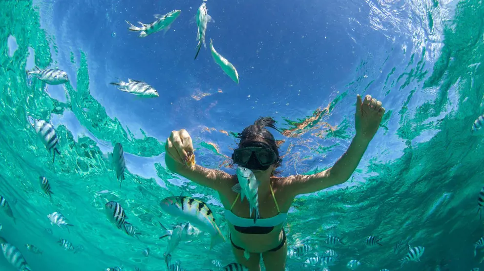 Prøv snorkling langs den flotte kyst på din rejse til Mauritius.