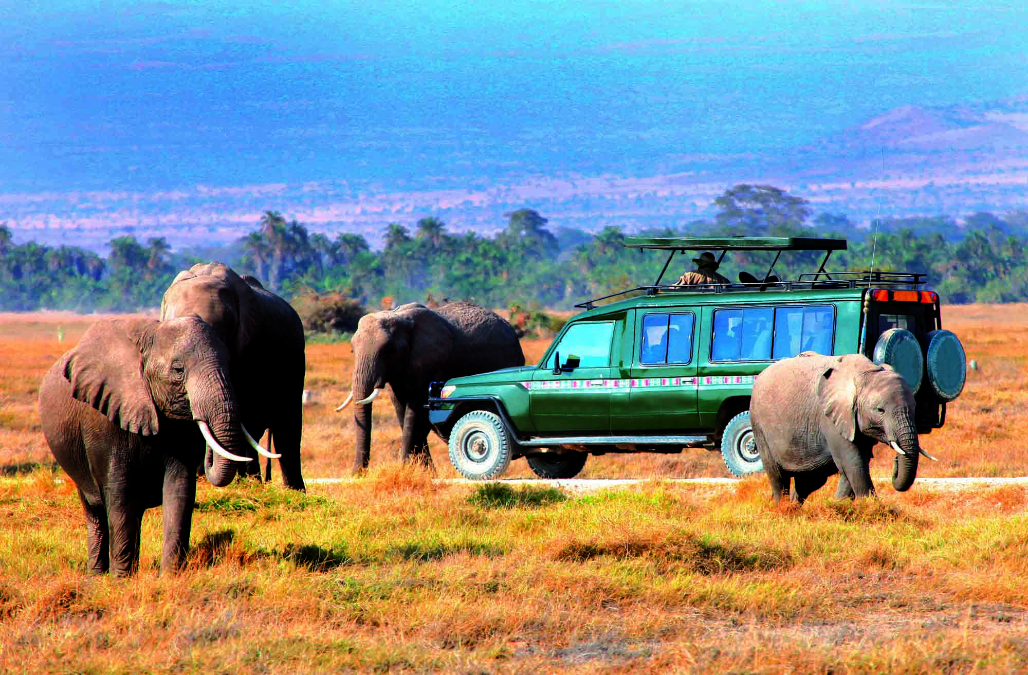 På safari i Masai Mara