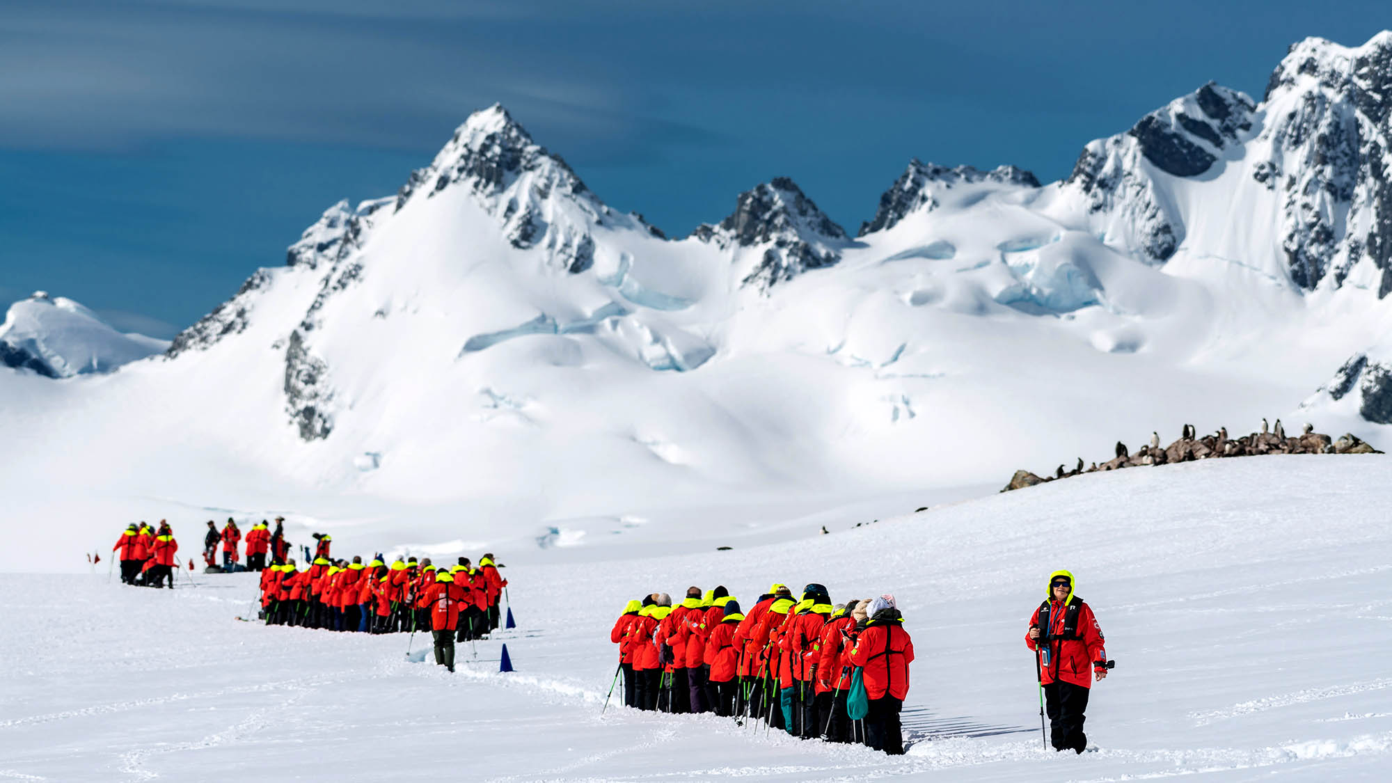 Kom på ekspedition med teamet i Antarktis | Foto: HX Expeditions / Karsten Bidstrup