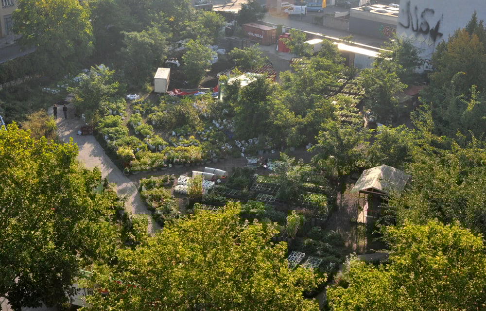 1957-the_prinzessinnengarten_in_berlin_-_guided_garden_tour